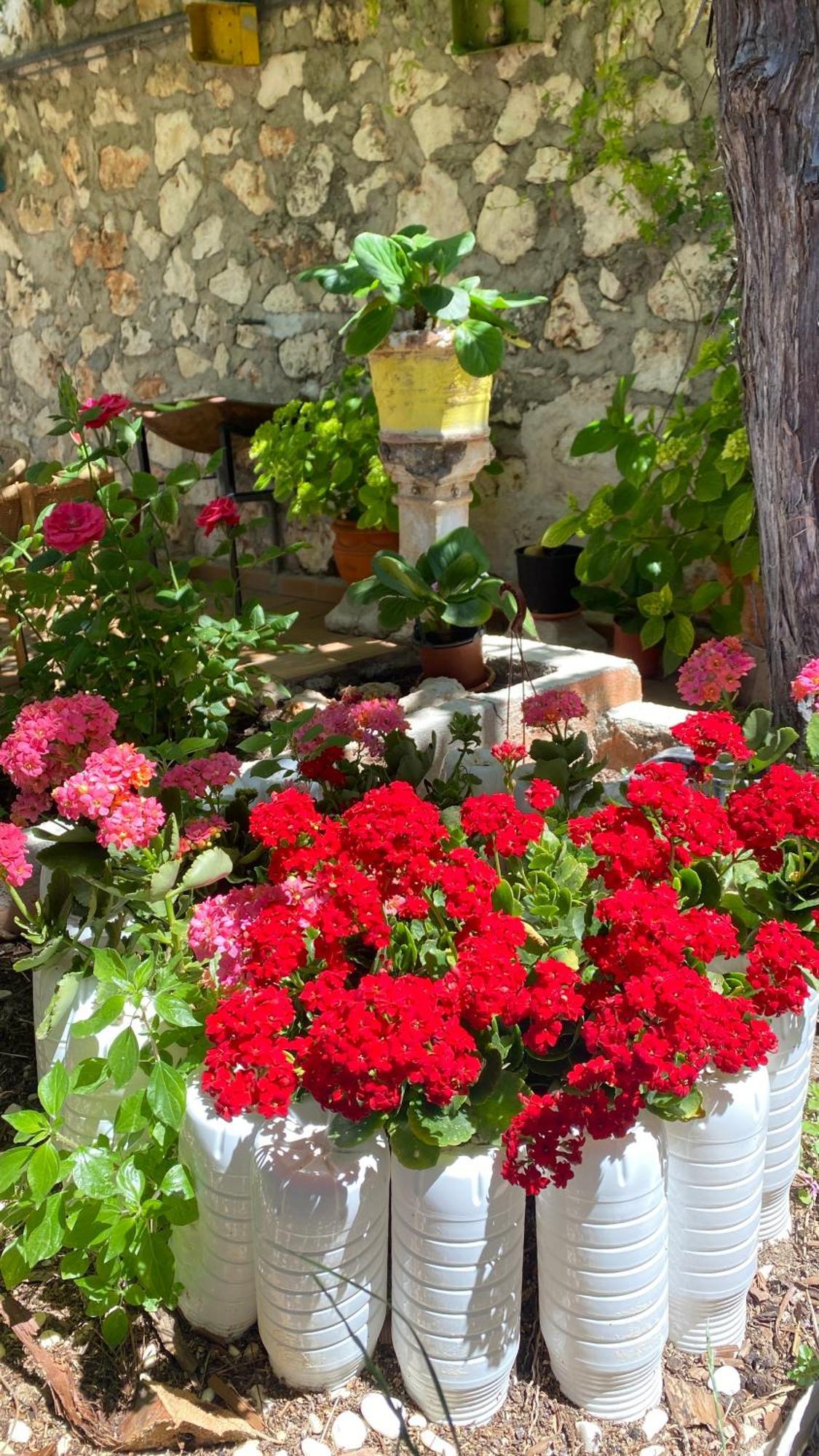 Hostal Chinchon Exterior photo