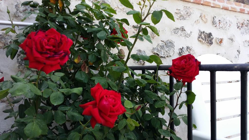 Hostal Chinchon Exterior photo